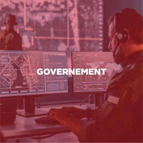 government.png